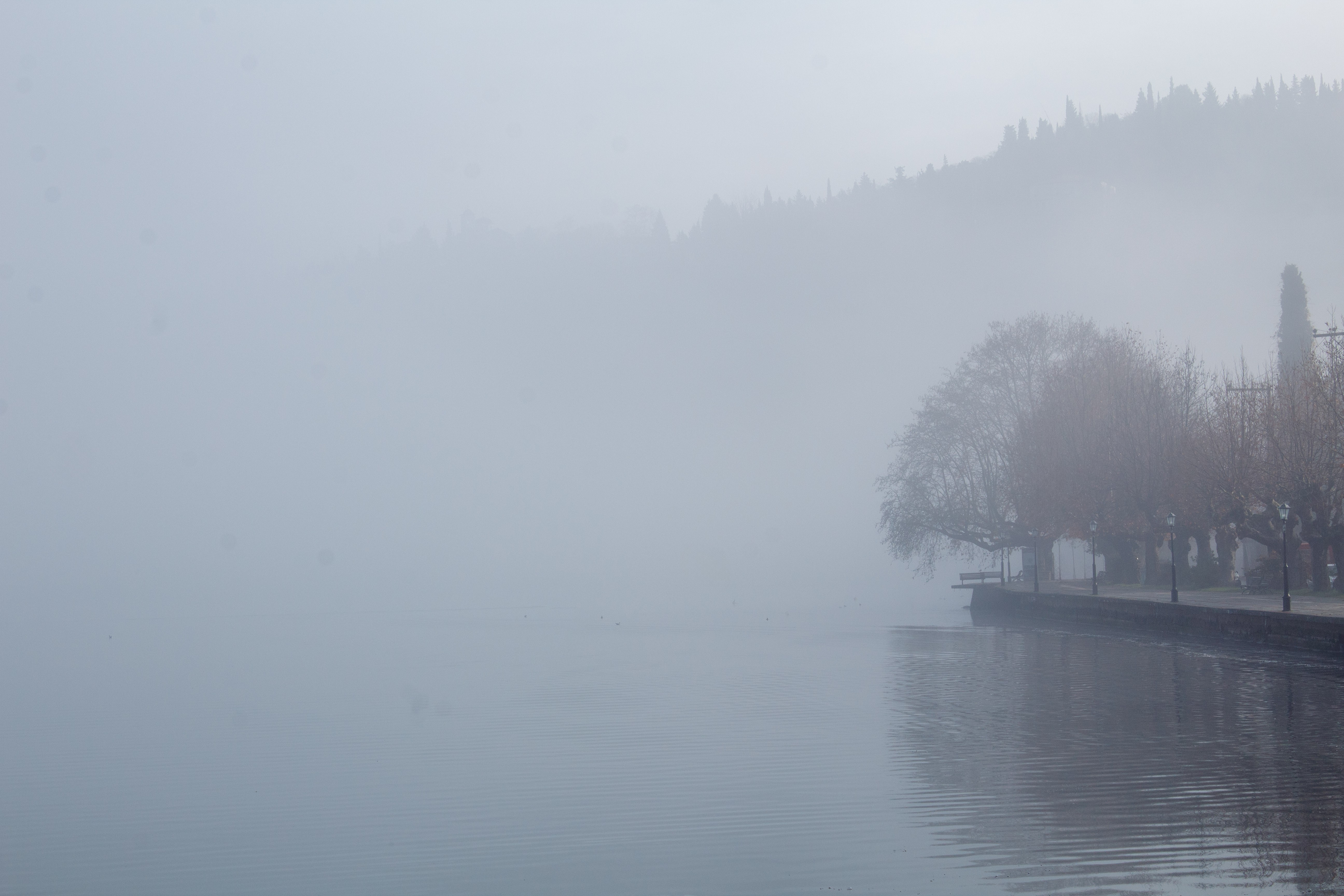 Lake photography